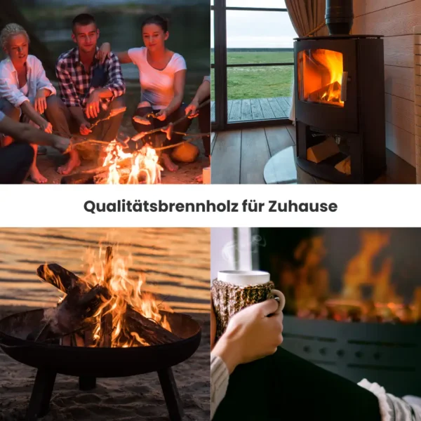 Kaminholz Buche kammergetrocknet | 1 RM  ( Scheitlänge 25 cm ) - Image 10