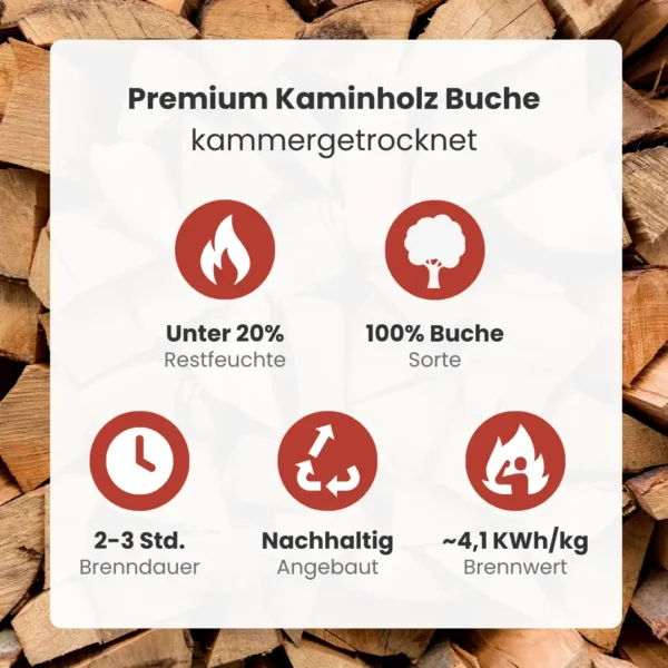 Kaminholz Buche kammergetrocknet | 1 RM  ( Scheitlänge 25 cm ) - Image 2