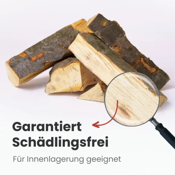 Kaminholz Buche kammergetrocknet | 1 RM  ( Scheitlänge 25 cm ) - Image 4