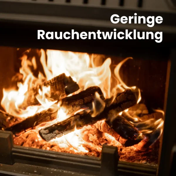 Kaminholz Buche kammergetrocknet | 1 RM  ( Scheitlänge 25 cm ) - Image 8