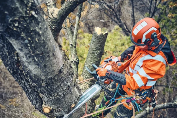 Husqvarna 560 XP® G Mark II / 45 - Image 2