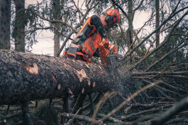 Husqvarna 592 XP® / 90 – X-Torq - Image 5