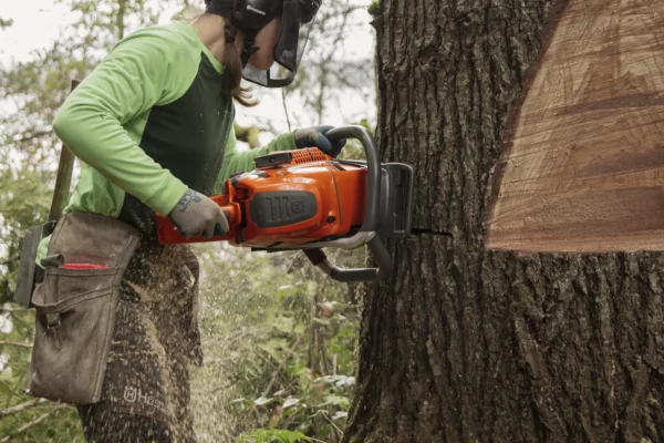 Husqvarna 592 XP® / 90 – X-Torq - Image 4